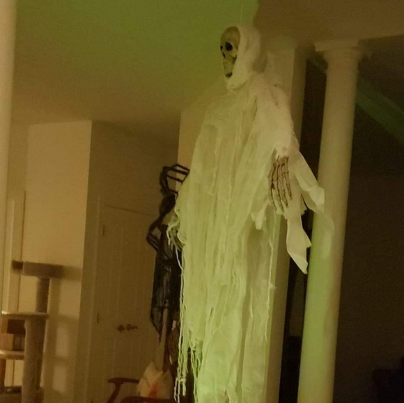 Meet your Posher, Mary - Picture 14 of 14